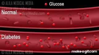 GLUCO CONTROLE NUTRAFIK
